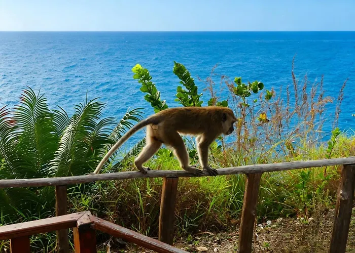 Nusa Penida Ocean Cliffside 別荘 Semarapura